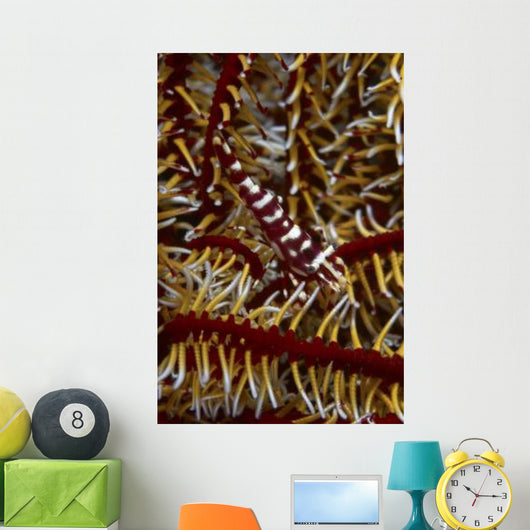 Red and White Mimic Wall Decal
