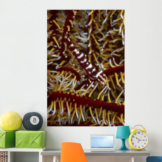 Red and White Mimic Wall Decal