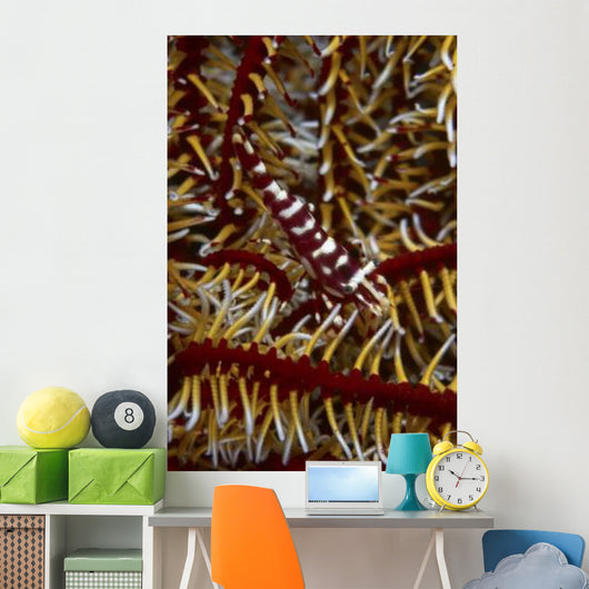 Red and White Mimic Wall Decal