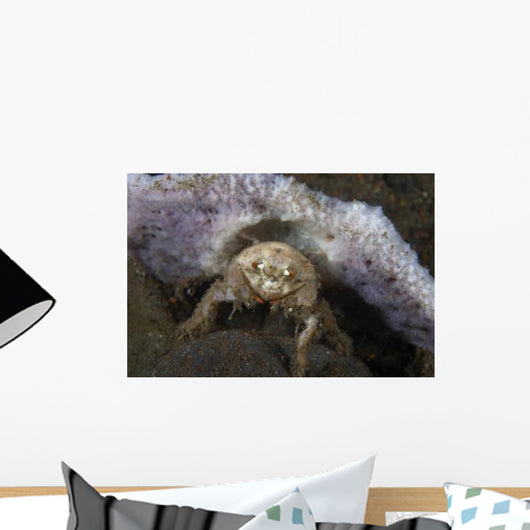Decorator Crab with Mauve Wall Decal