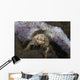 Decorator Crab with Mauve Wall Decal