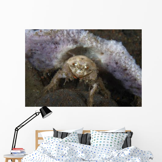 Decorator Crab with Mauve Wall Decal