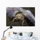 Decorator Crab with Mauve Wall Decal