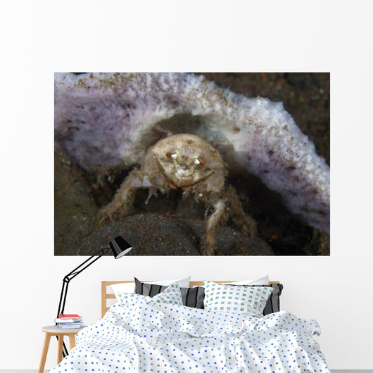 Decorator Crab with Mauve Wall Decal