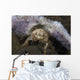Decorator Crab with Mauve Wall Decal