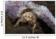 Decorator Crab with Mauve Wall Decal