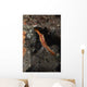 Orange Donald Duck Shrimp Wall Decal