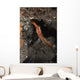 Orange Donald Duck Shrimp Wall Decal