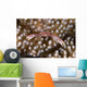 Small White Crab with Wall Decal