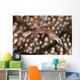 Small White Crab with Wall Decal