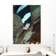 Black and White Anemone Wall Decal