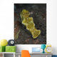 Green and Purple T-bar Wall Decal