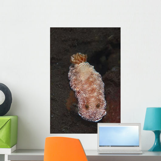 White-spotted Red Nudibranch Sea Wall Decal