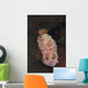 White-spotted Red Nudibranch Sea Wall Decal