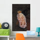 White-spotted Red Nudibranch Sea Wall Decal