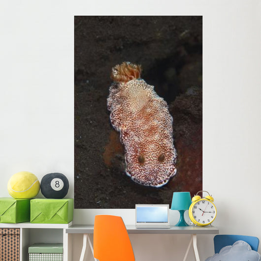 White-spotted Red Nudibranch Sea Wall Decal