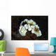 Glossodoris Atromarginata Nudibranch Bali Wall Decal Design 1