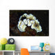 Glossodoris Atromarginata Nudibranch Bali Wall Decal Design 1