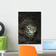 Camouflaged Baby Reef Cuttlefish Wall Decal