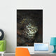 Camouflaged Baby Reef Cuttlefish Wall Decal