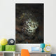 Camouflaged Baby Reef Cuttlefish Wall Decal