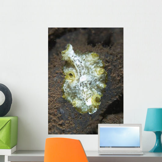 Green White and Brown Wall Decal