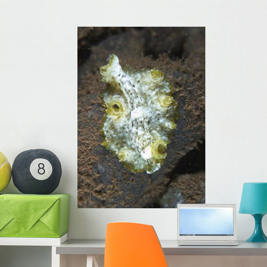 Green White and Brown Wall Decal