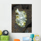 Green White and Brown Wall Decal