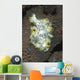 Green White and Brown Wall Decal