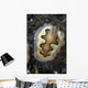 Chromodoris Coi Nudibranch Sea Wall Decal