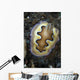 Chromodoris Coi Nudibranch Sea Wall Decal