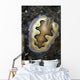 Chromodoris Coi Nudibranch Sea Wall Decal