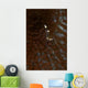 Transparent White Shrimp Red Wall Decal