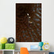 Transparent White Shrimp Red Wall Decal