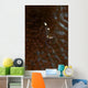 Transparent White Shrimp Red Wall Decal