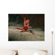 Red Starfish Sandy Bottom Wall Decal