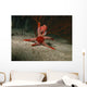 Red Starfish Sandy Bottom Wall Decal