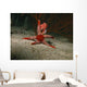 Red Starfish Sandy Bottom Wall Decal