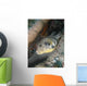 Map Pufferfish Arothron Mappa Wall Decal