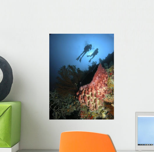 Divers Hovering above Large Wall Decal