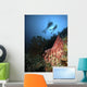 Divers Hovering above Large Wall Decal