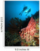 Divers Hovering above Large Wall Decal