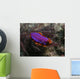 Pink and Orange Flatworm Wall Decal