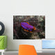 Pink and Orange Flatworm Wall Decal