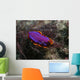 Pink and Orange Flatworm Wall Decal