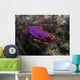 Pink and Orange Flatworm Wall Decal