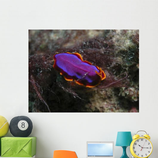 Pink and Orange Flatworm Wall Decal