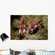 Pair Miamira Magnifica Nudibranch Wall Decal