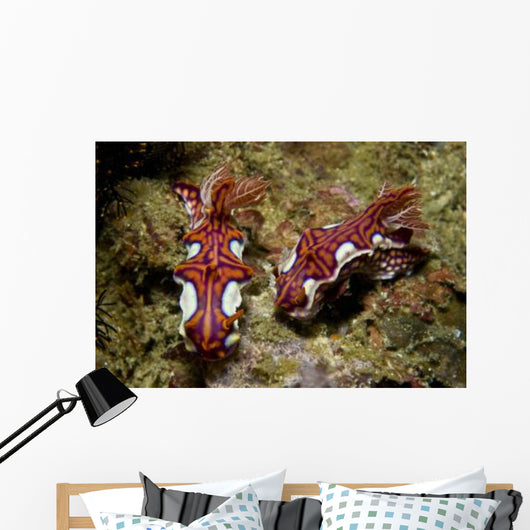 Pair Miamira Magnifica Nudibranch Wall Decal