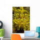 Head-on Portrait Yellow Scorpionfish Wall Decal